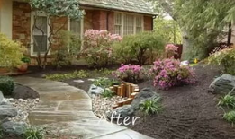 花园动漫,绽放青春的动漫世界